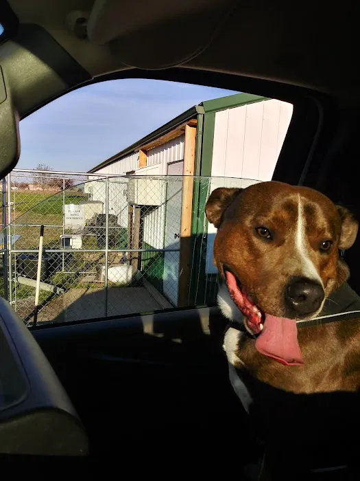 Union County Animal Clinic 6
