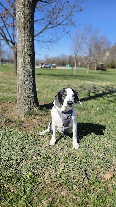 Henderson Veterinary Medical Center 2