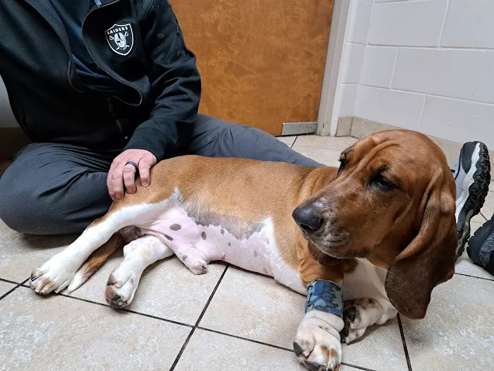 Westside Veterinary Service, LLP 1