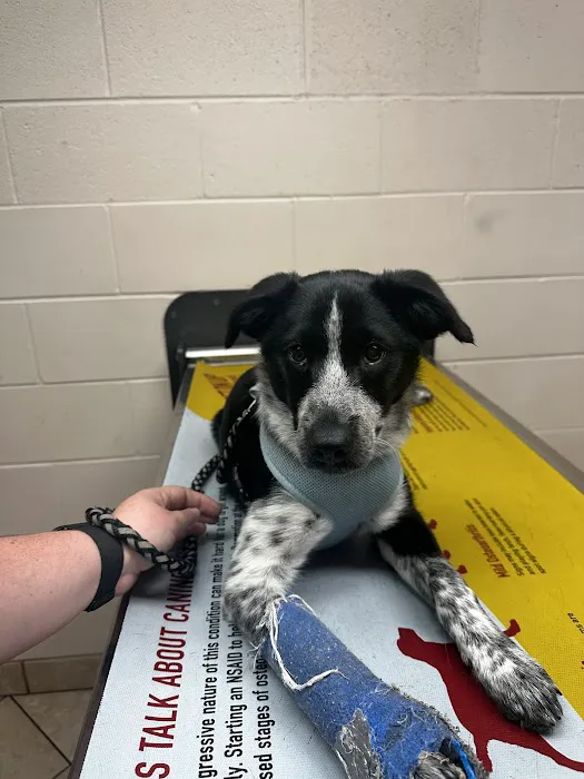 Westside Veterinary Service, LLP 4
