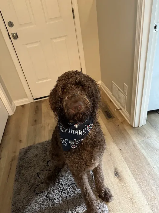Westside Veterinary Service, LLP 2