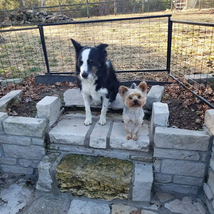 Waverly Animal Clinic 5