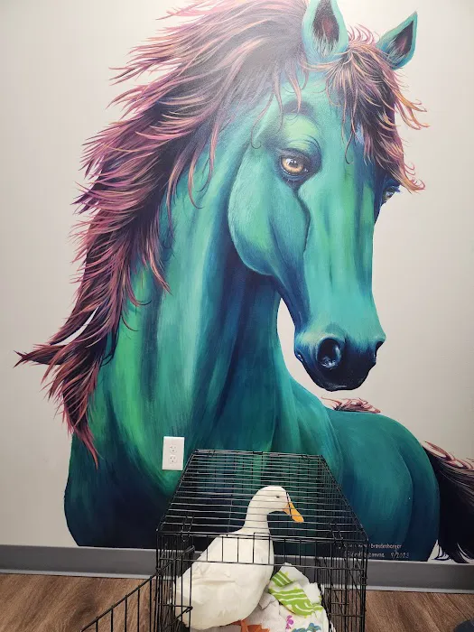 Compassion Veterinary Hospital 3