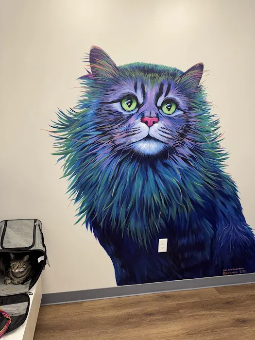 Compassion Veterinary Hospital 5