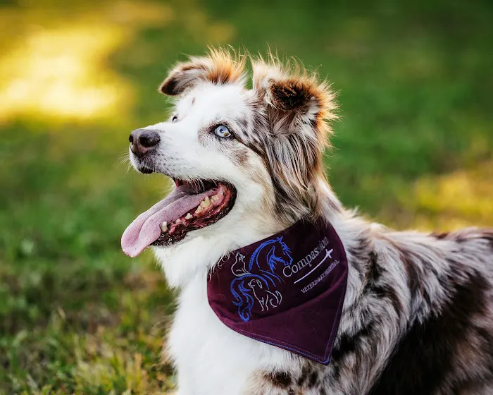 Compassion Veterinary Hospital 4
