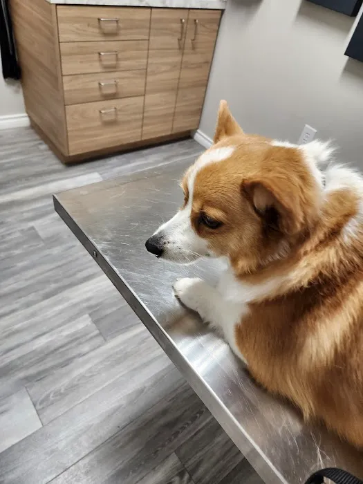 Jarrell Animal Hospital 8