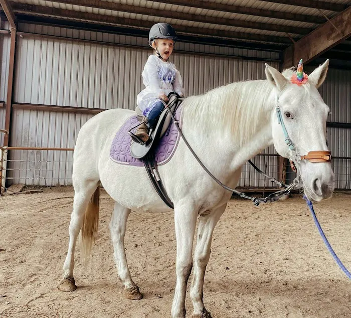 Brazos Valley Equine Hospitals 10