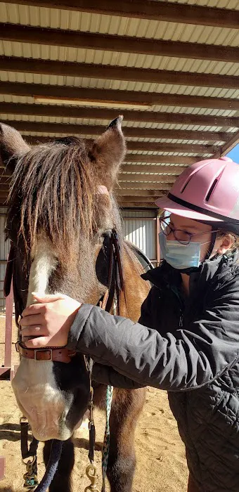 Brazos Valley Equine Hospitals 4