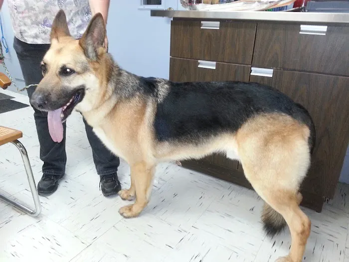 Animal Medical of Salado 8
