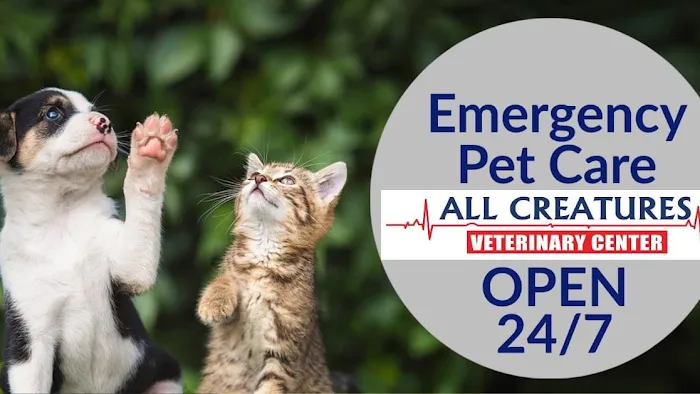 All Creatures Veterinary Center 6