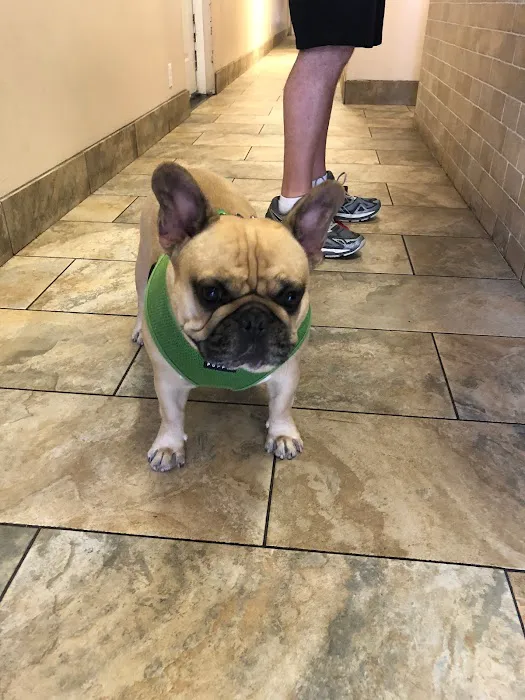 All Creatures Veterinary Center 3