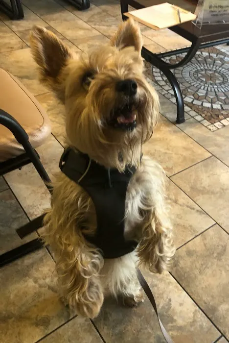 All Creatures Veterinary Center 5