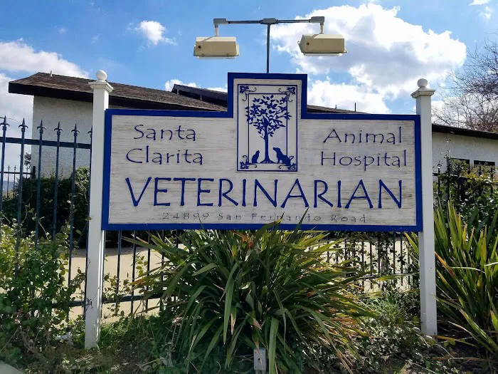Santa Clarita Animal Hospital 2