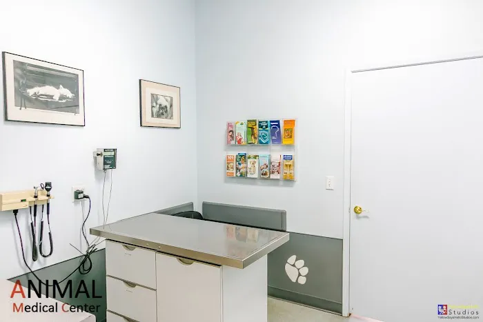 Animal Medical Center 8