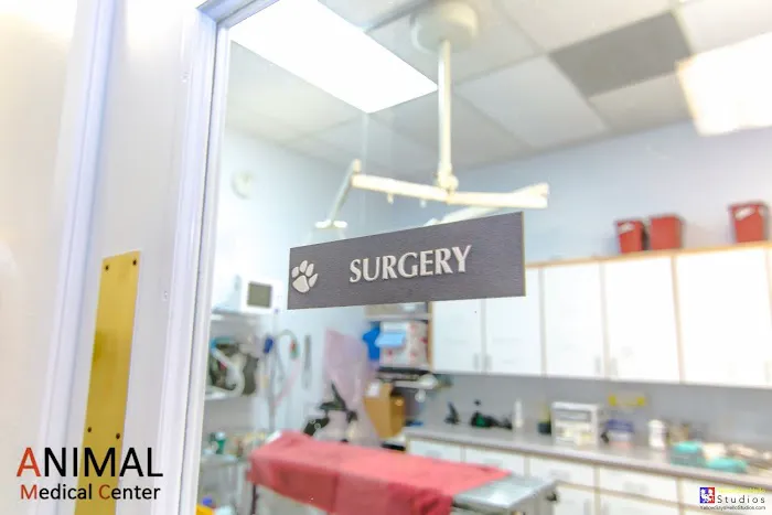 Animal Medical Center 5