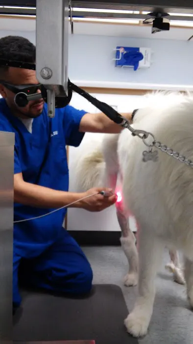 Animal Medical Center 4