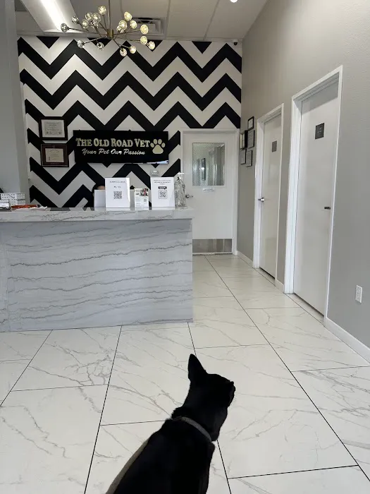 The Old Road Veterinary Center 3