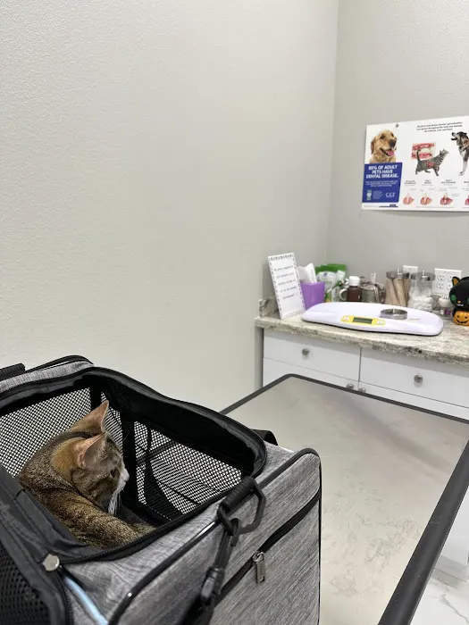 The Old Road Veterinary Center 2