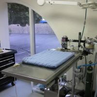 The Cat Doctor & Friends ico