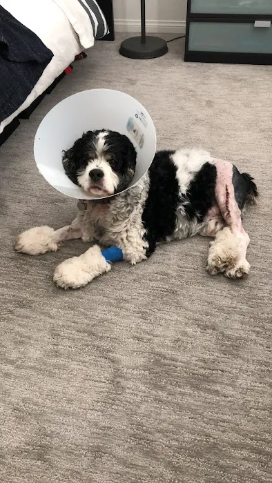 Pinnacle Veterinary Center 3