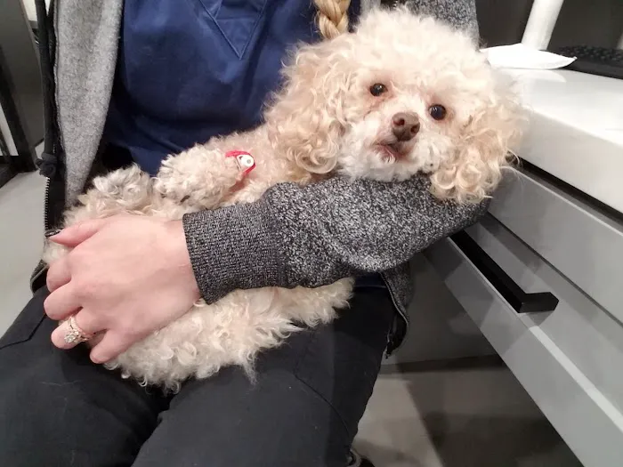 Pinnacle Veterinary Center 1