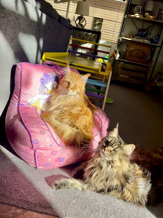 Pinnacle Veterinary Center 9