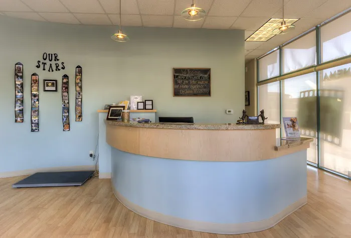 Cinema Veterinary Centre 5