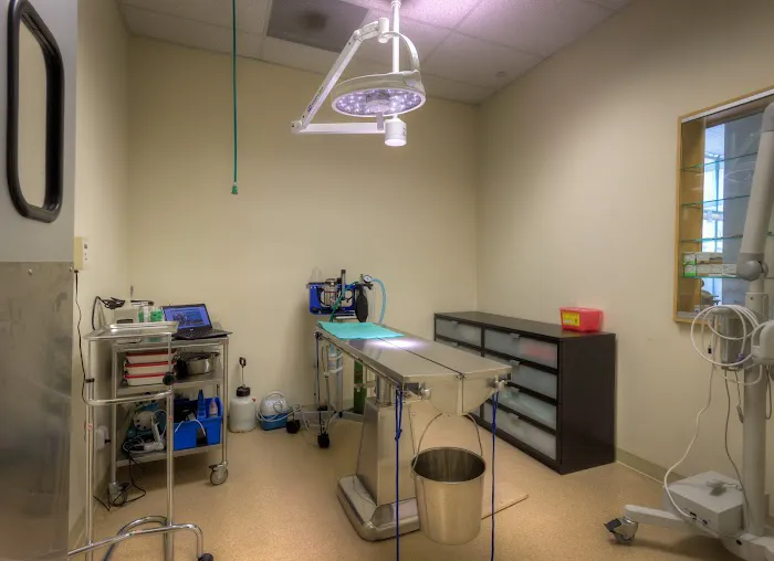 Cinema Veterinary Centre 9