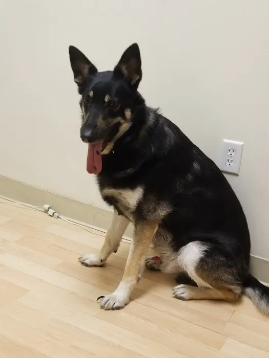 Cinema Veterinary Centre 6