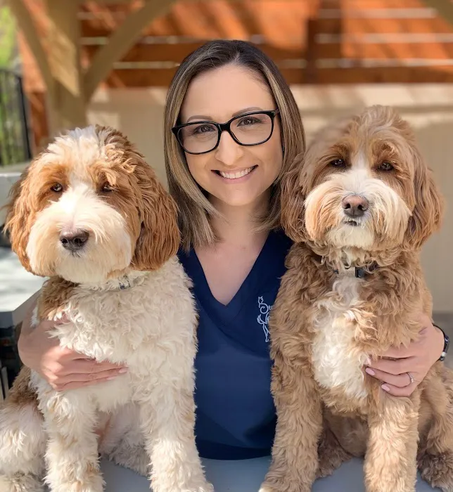 Stevenson Ranch Veterinary Center 3