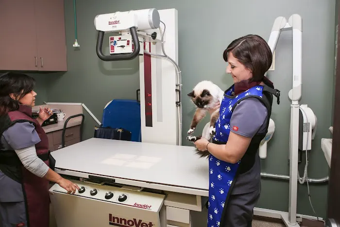 Stevenson Ranch Veterinary Center 5