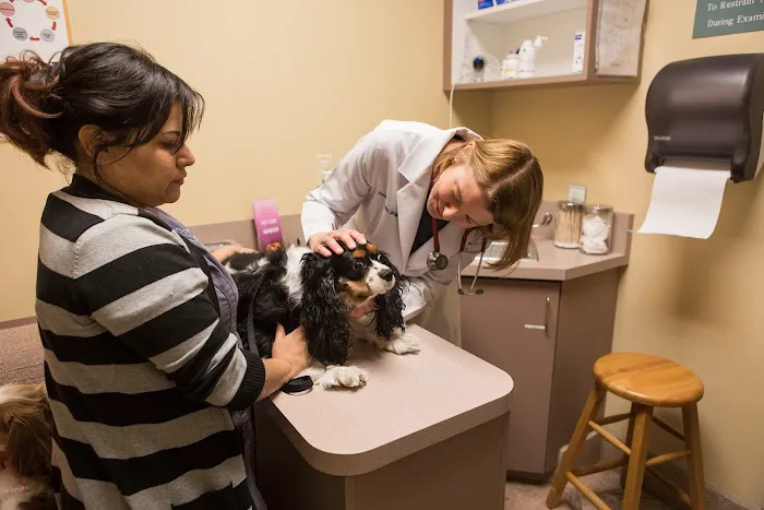 Stevenson Ranch Veterinary Center 6