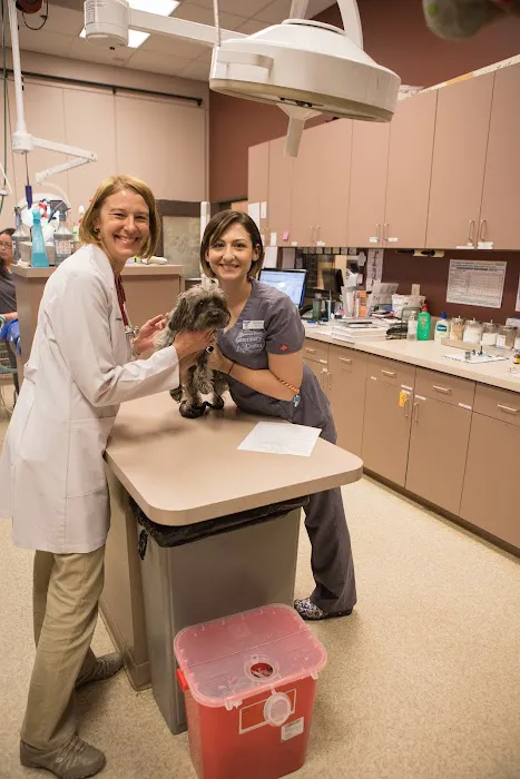Stevenson Ranch Veterinary Center 8
