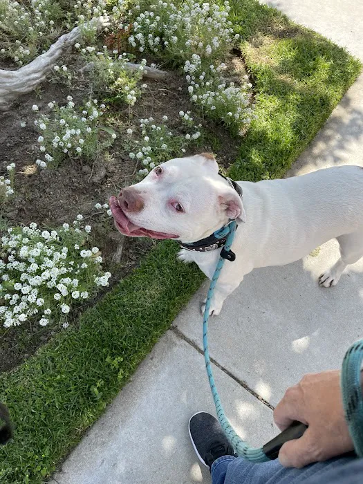 Canyon Country Animal Hospital 3