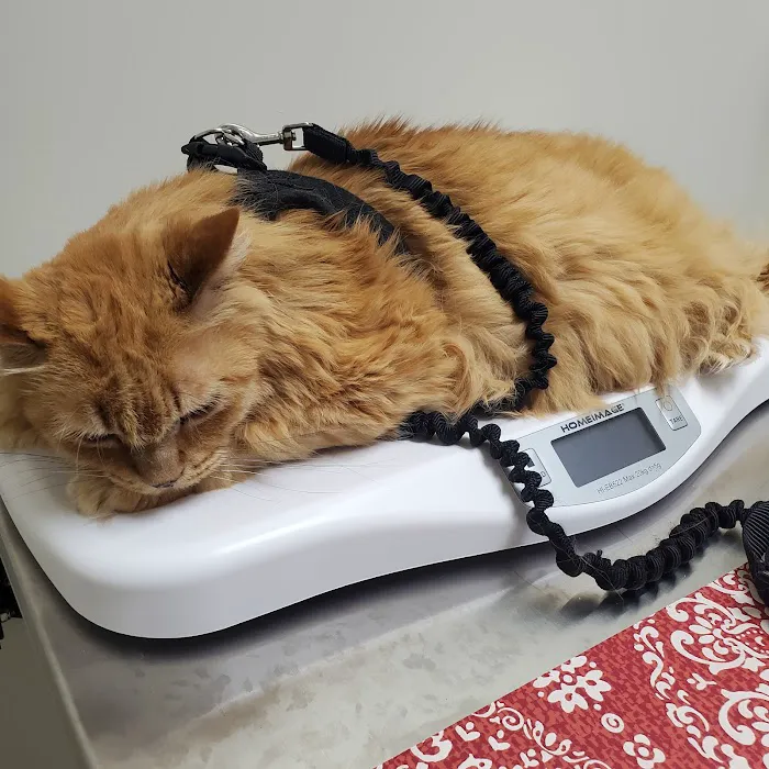 Vetco Total Care Animal Hospital 4