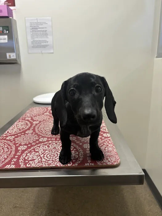 Vetco Total Care Animal Hospital 5