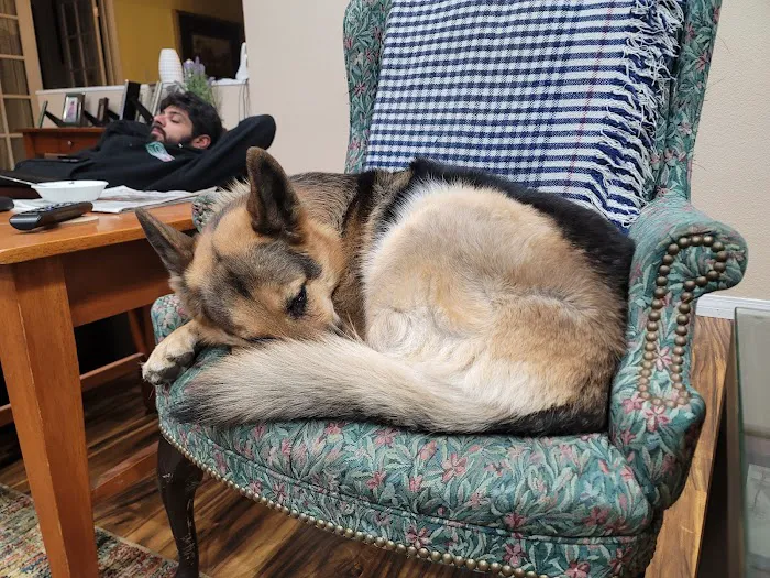 Cozycroft Pet Hospital 9