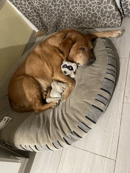 Cozycroft Pet Hospital 5