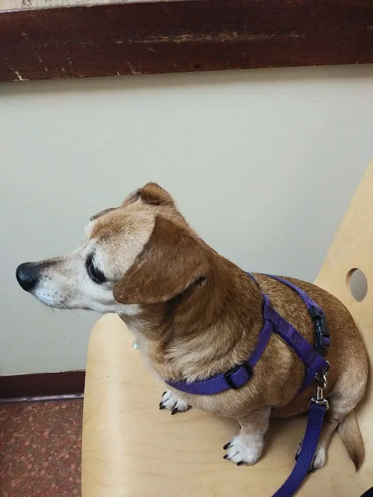 Cozycroft Pet Hospital 6