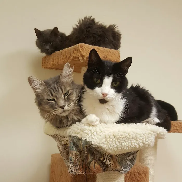 Heaven on Earth Animal Clinic 4