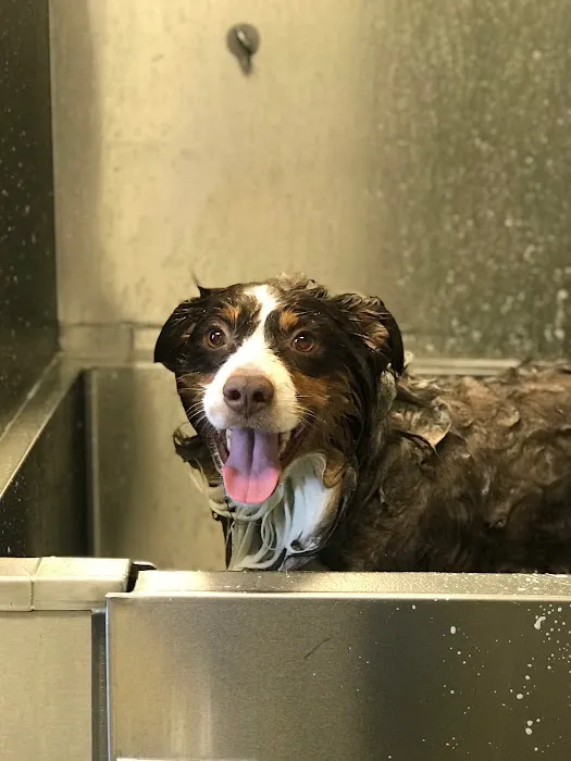 VCA Chatsworth Veterinary Center 9