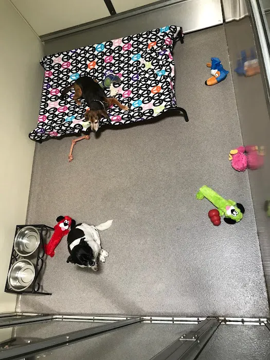 VCA Chatsworth Veterinary Center 7