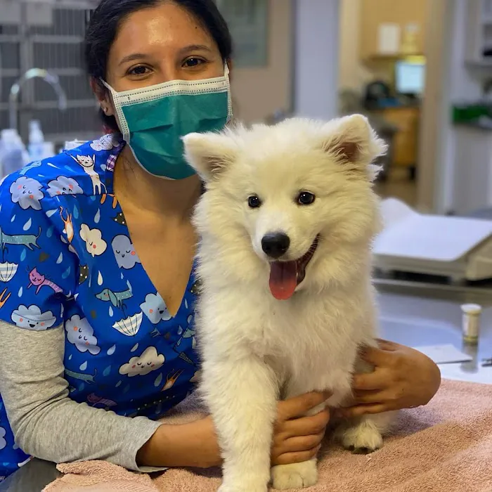 VCA Chatsworth Veterinary Center 6