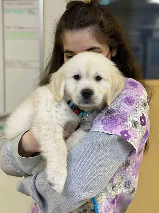 VCA Chatsworth Veterinary Center 3
