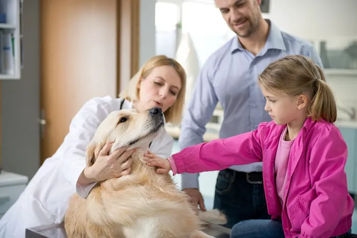Gemcore Veterinary Services 1
