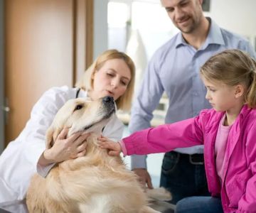 Gemcore Veterinary Services