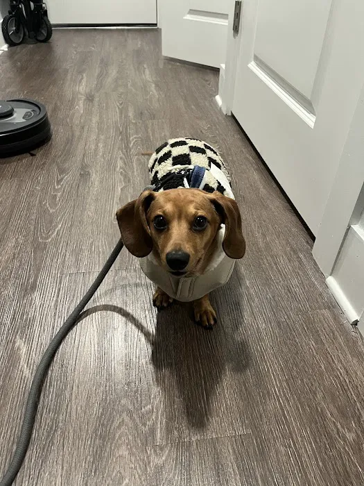 Topanga Veterinary Clinic 6