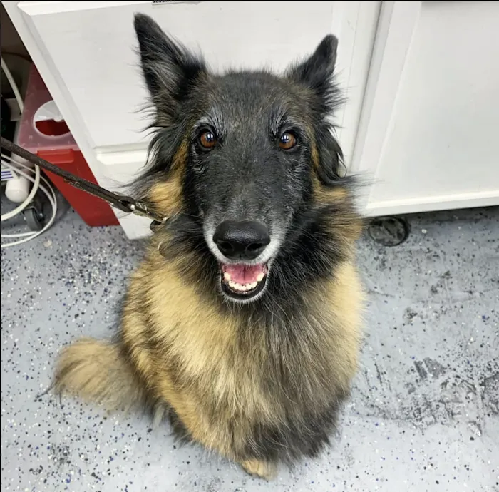 Topanga Veterinary Clinic 10