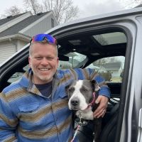 911PetChip ico