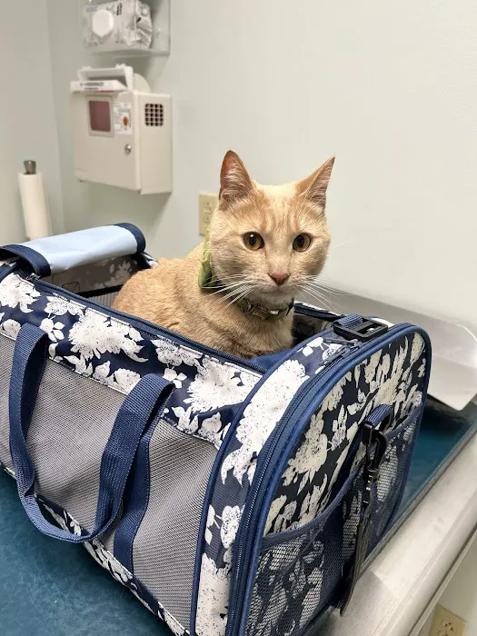 Nordhoff Veterinary Hospital 5